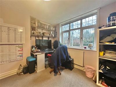 Picture 11
